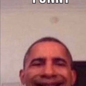 Meet your Posher, Bailey